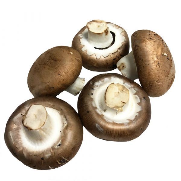 Buy magic mushrooms UK
