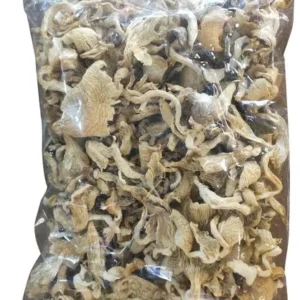 Buy Cubensis Mushrooms Online