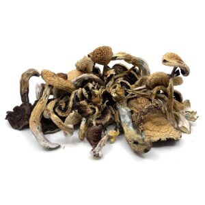 Buy Magic Mushrooms Online